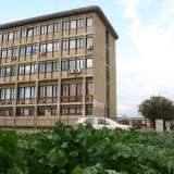 Di fronte al massiccio edificio marroncino dell�Ordine degli Ingegneri spunta questo infatti appezzamento inserito in una bassa isola spartitraffico che si allarga a forma di cono e i cui colori invadono la grigia strada